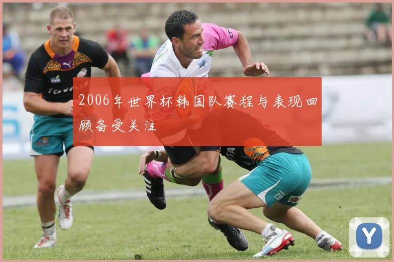 2006年世界杯韩国队赛程与表现回顾备受关注